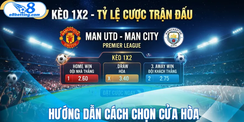 Hướng dẫn cách chọn cửa hòa